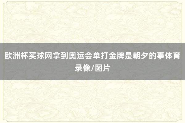 欧洲杯买球网拿到奥运会单打金牌是朝夕的事体育录像/图片