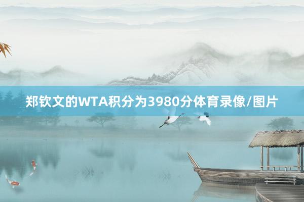 郑钦文的WTA积分为3980分体育录像/图片